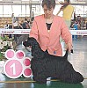 Адамовская Елена Эдуардовна